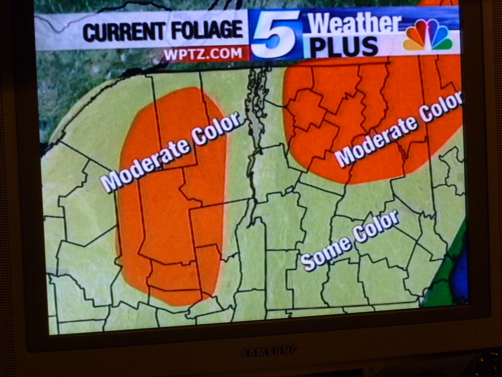 Foliage report on TV