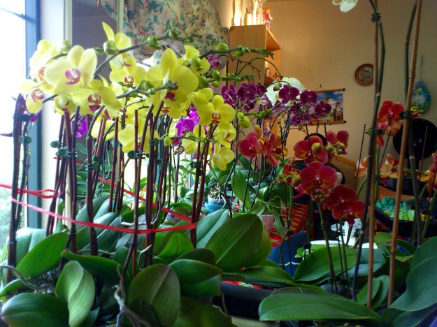 2013-03-06-11-06-45_photo