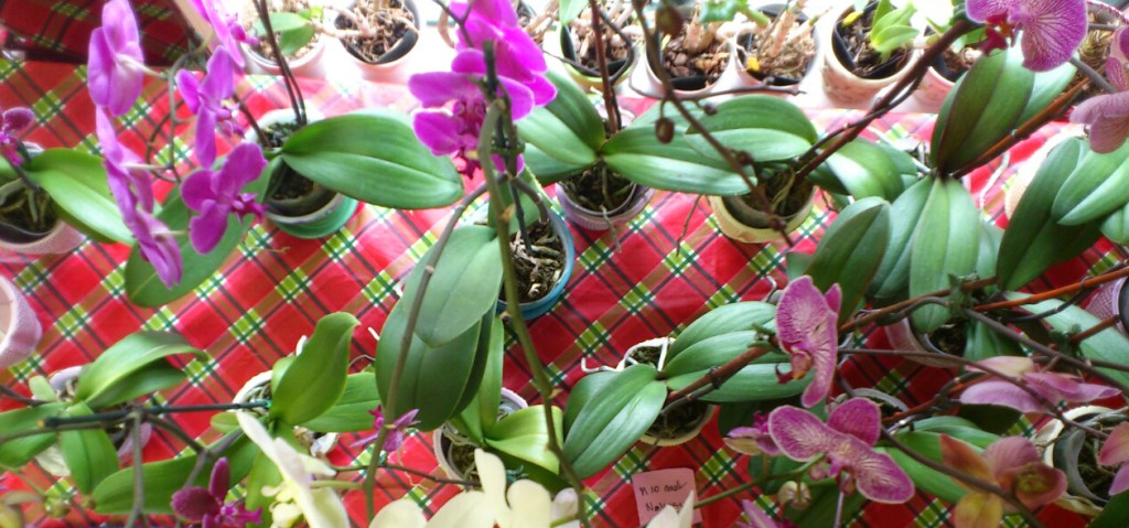 2013-03-06-11-09-51_photo