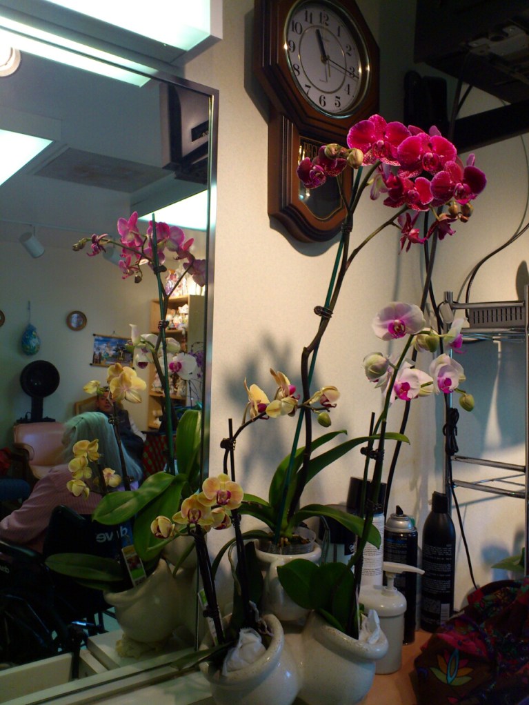 2013-03-06-11-15-29_photo