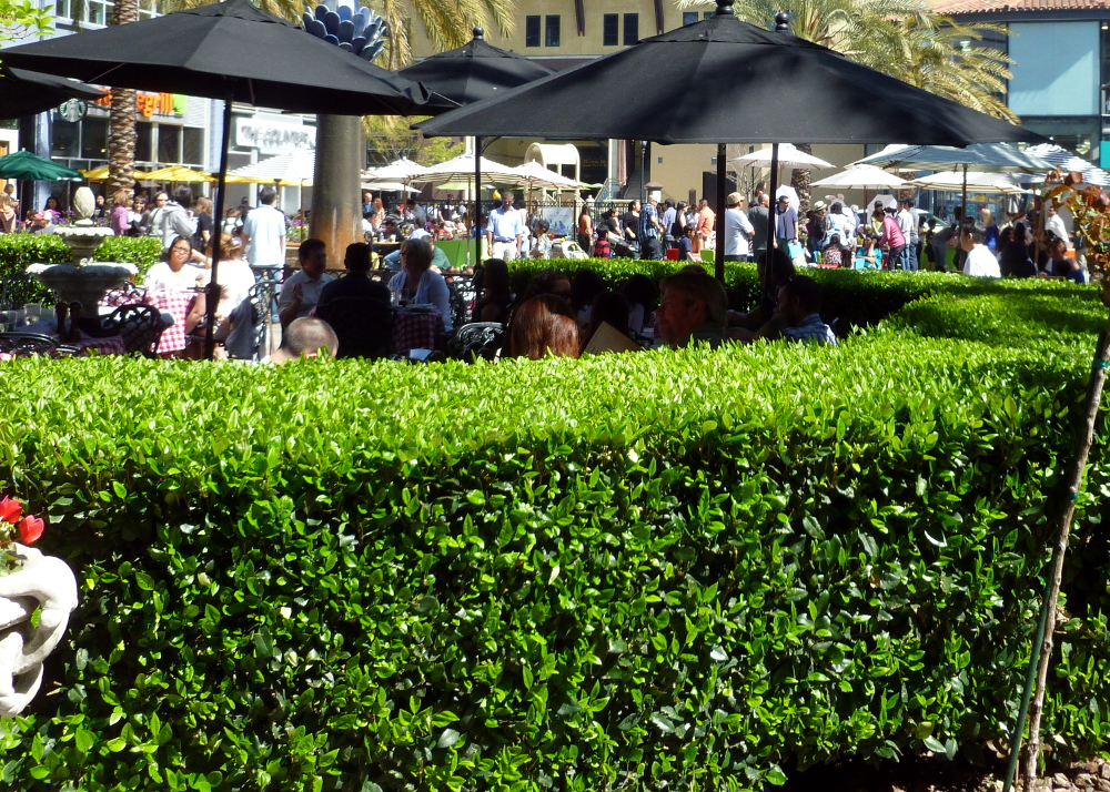 A hedge creates a space for people to talk and dine.