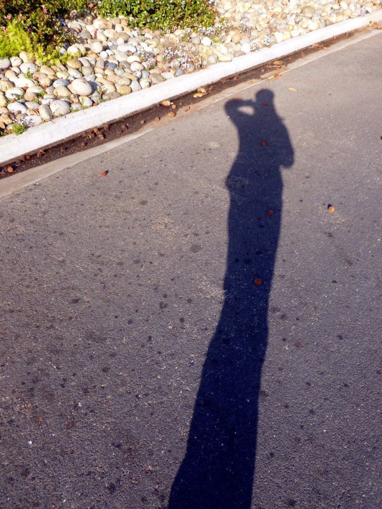 Shadow of the observer