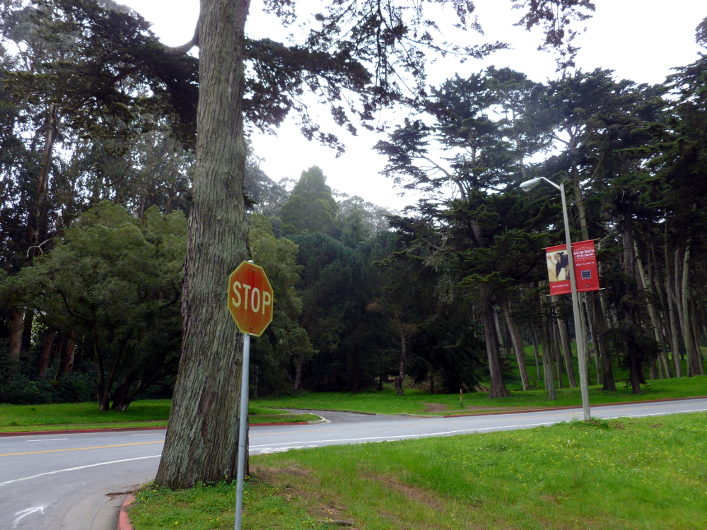 The grounds of the Presidio, San Francisco