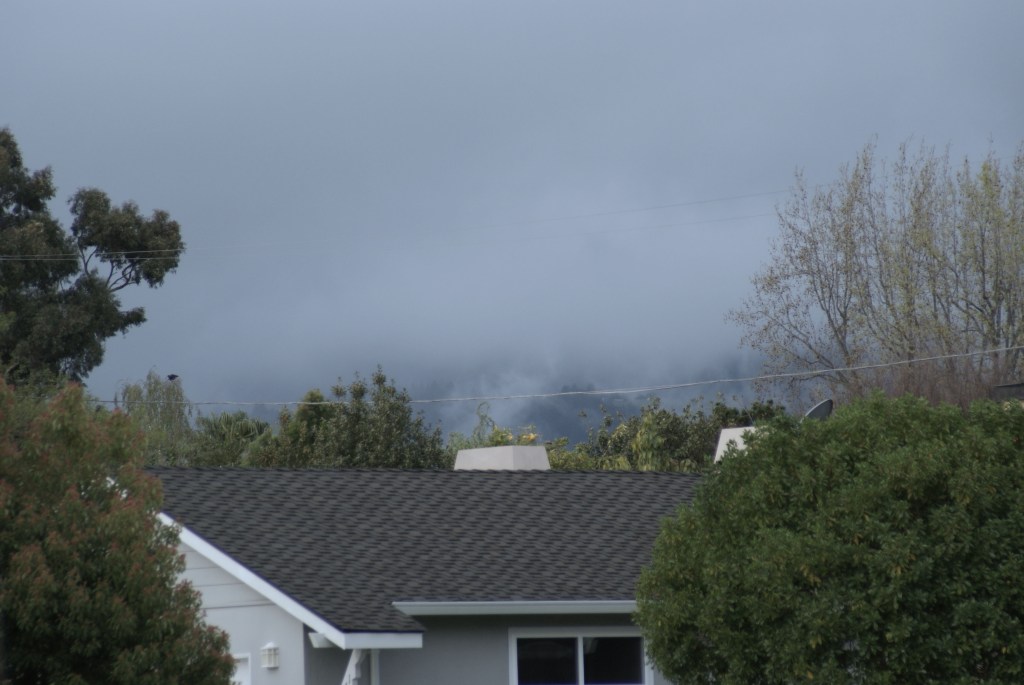 with some Nik Color Efex processing