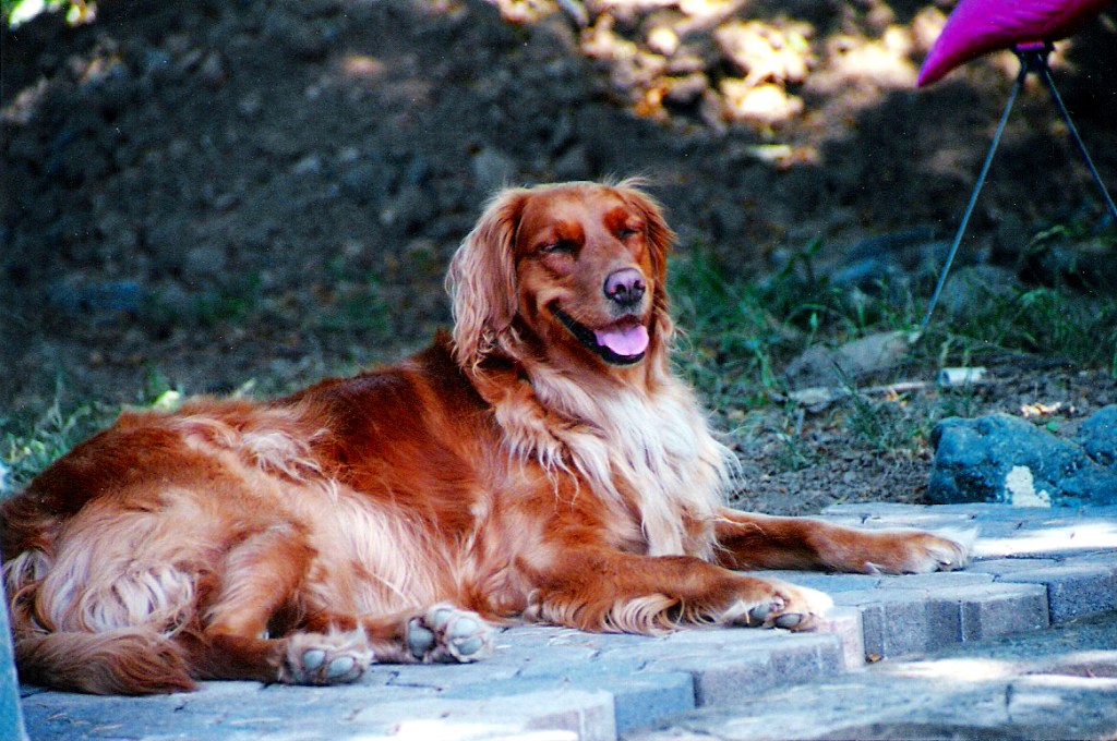 Rarely this clean am I