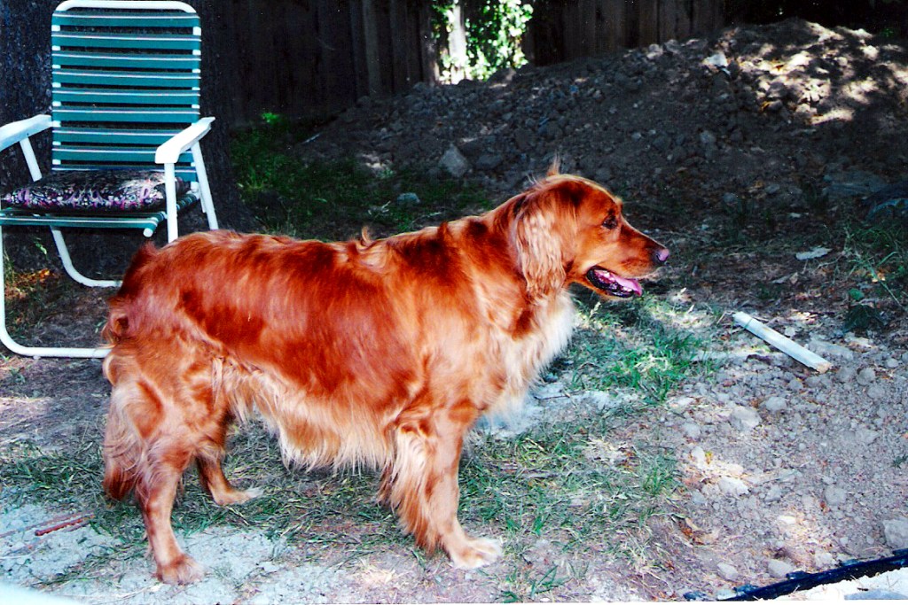 Yes I'm gorgeous but I want to roll in dead things