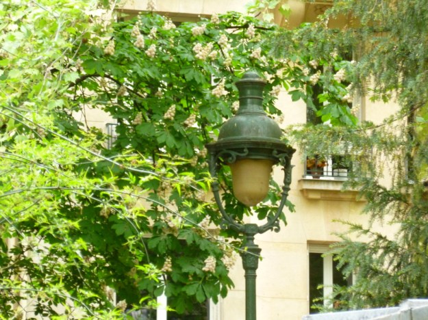 A lamp in Le Champs de Mars
