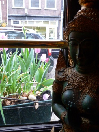 Thai restaurant in Amsterdam