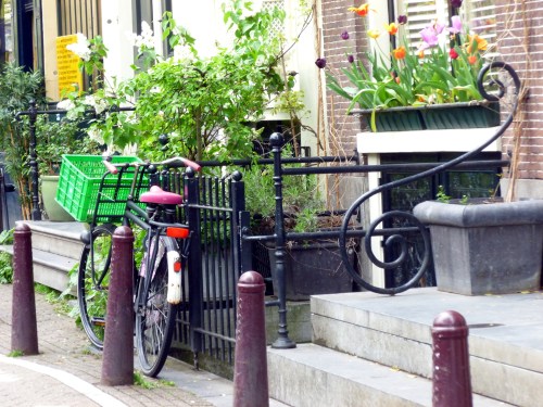 Same bike, different angle