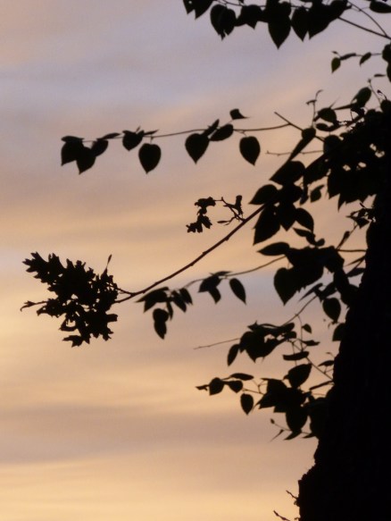 The sunset June 1 2013 Sams Grad party