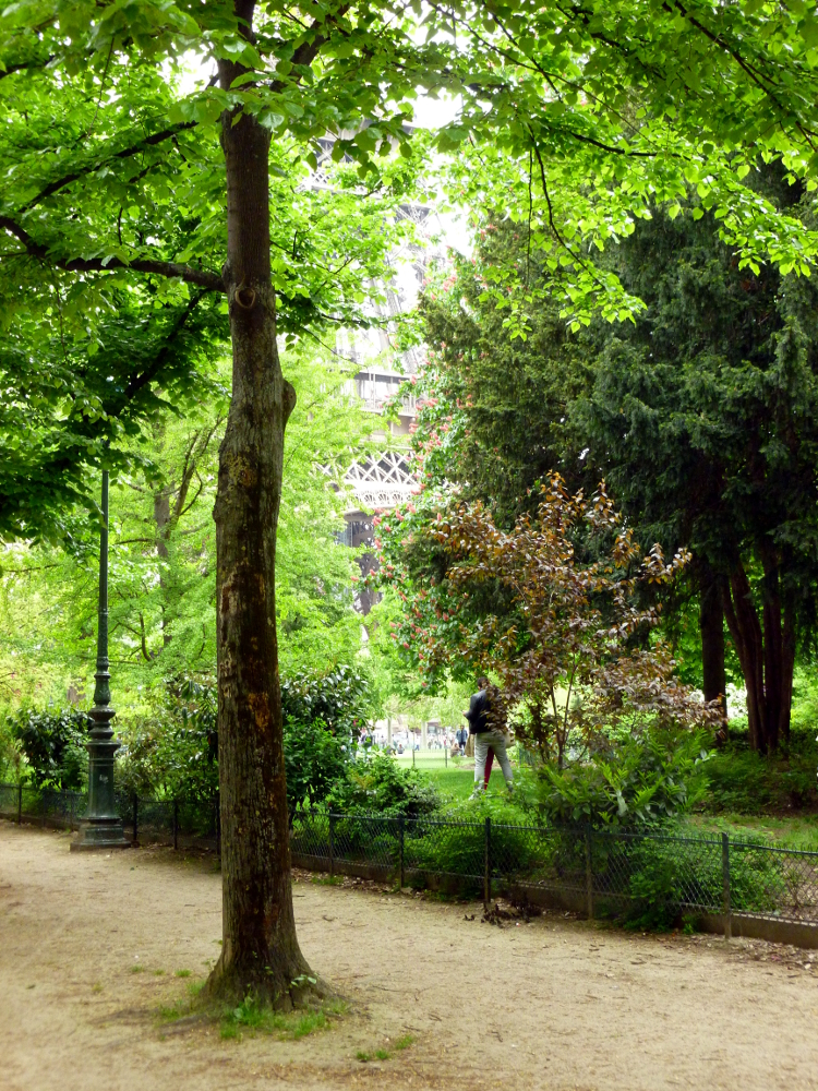 Champs de Mars park (Eiffel Tower in the background)