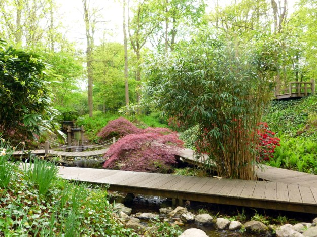 A Japanese style wood