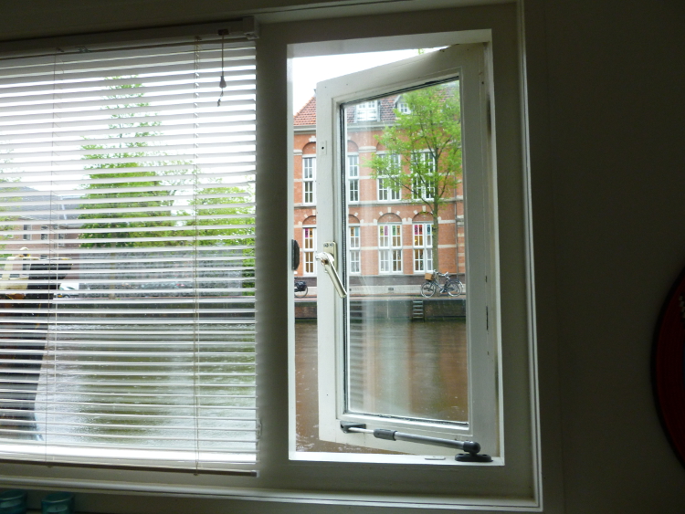 My day of painting my view