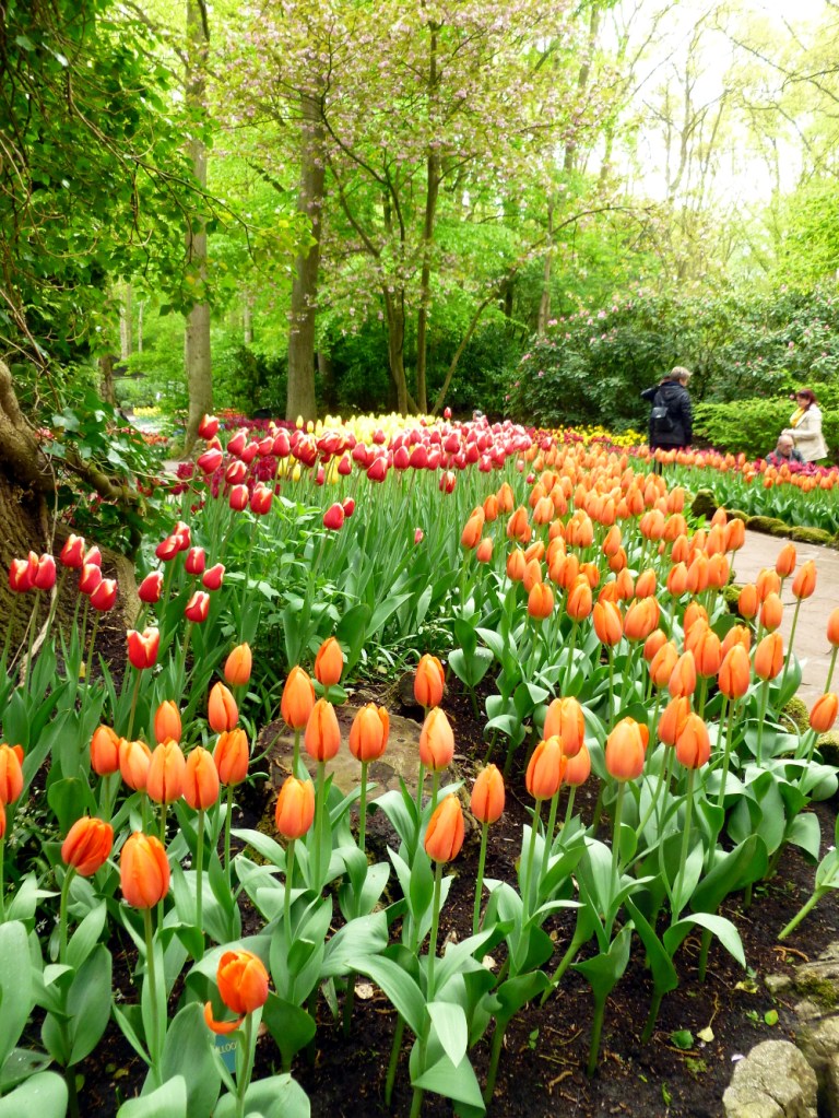 Enticing you to the next area after the entry area