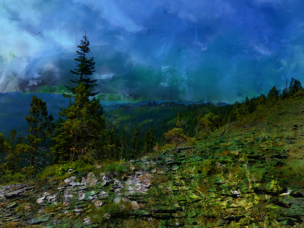 BP lyrd P1000301 E3 dflts dtl rstrd flwrs 297 50 prcnt opcty 2