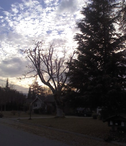 2014-01-06_15-51-59_790