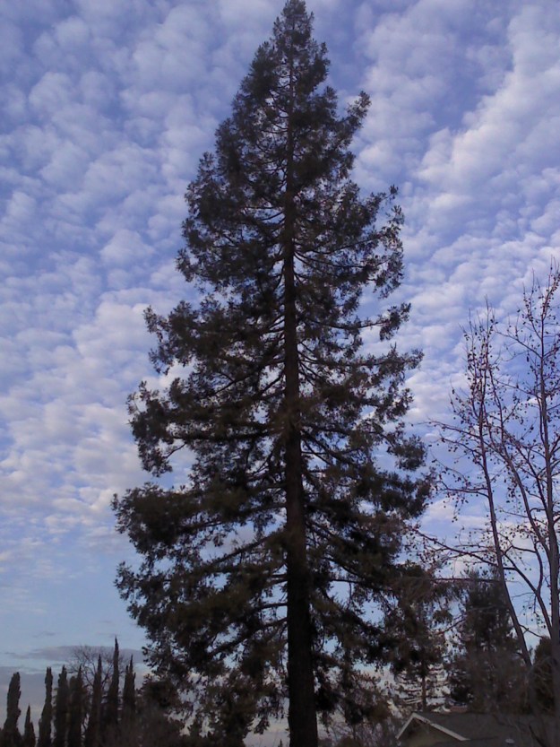 2014-01-06_15-58-10_499