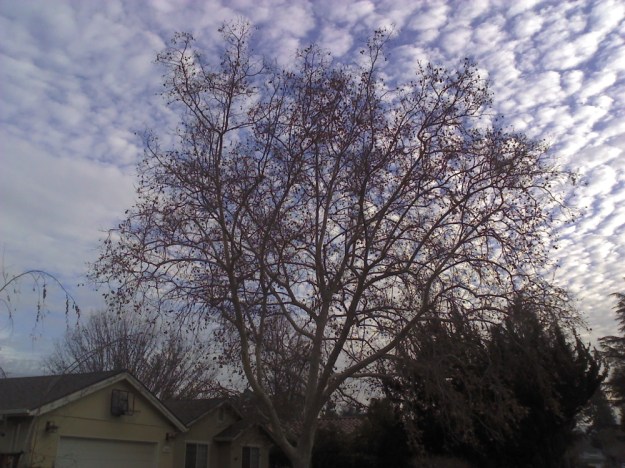 2014-01-06_16-03-17_901