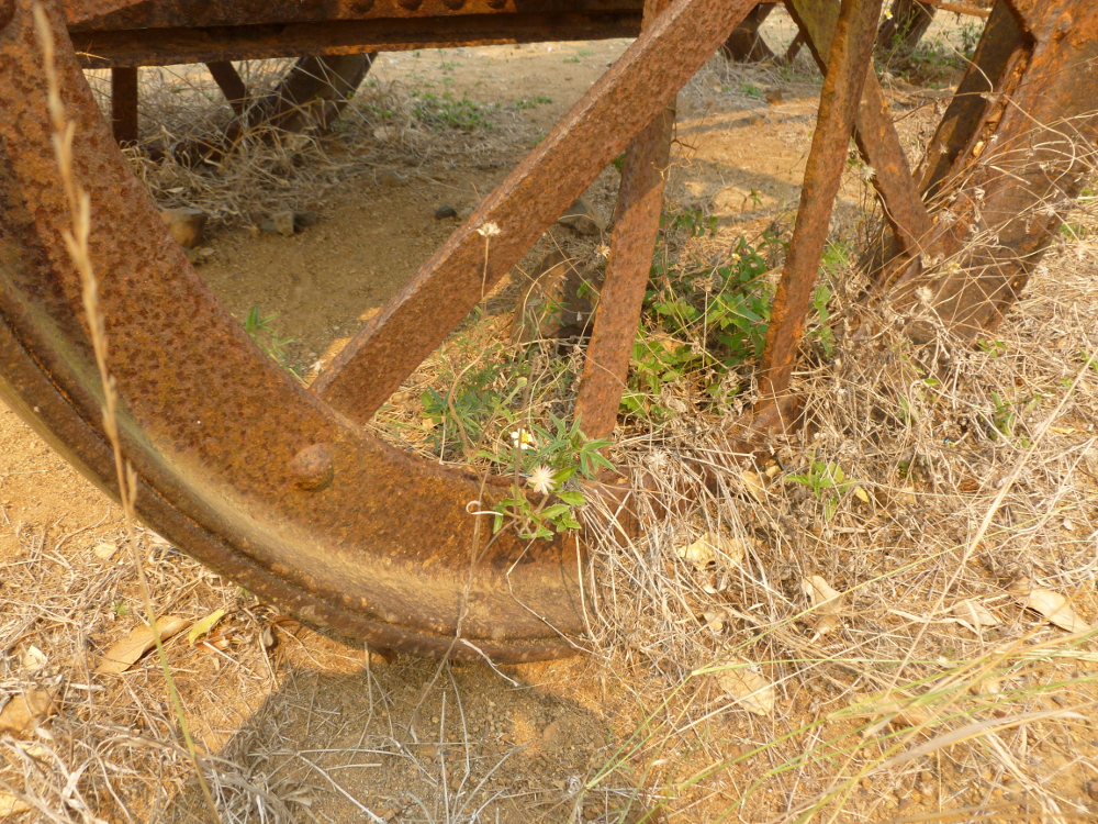 From Ravenswood in Queensland Australia