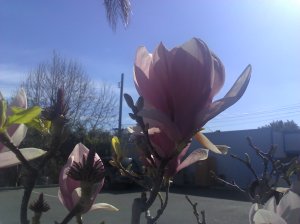 2014-02-13_11-48-32_374