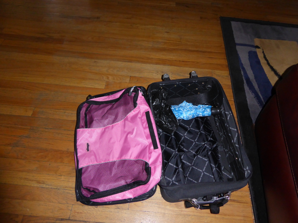 Carry on bag interior