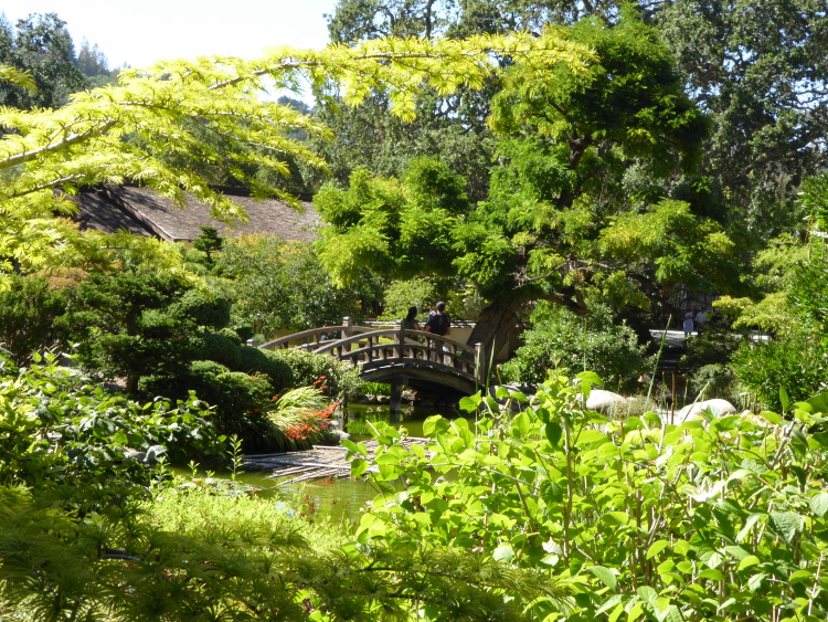 hakone-gardens-saratoga-bridge2