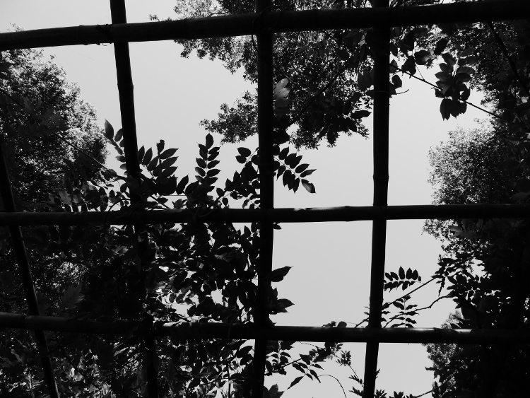 hakone-gardens-saratoga-pagoda