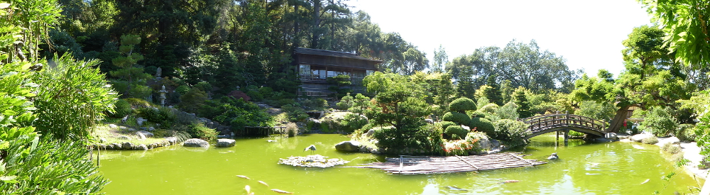 hakone-gardens-saratoga-panorama