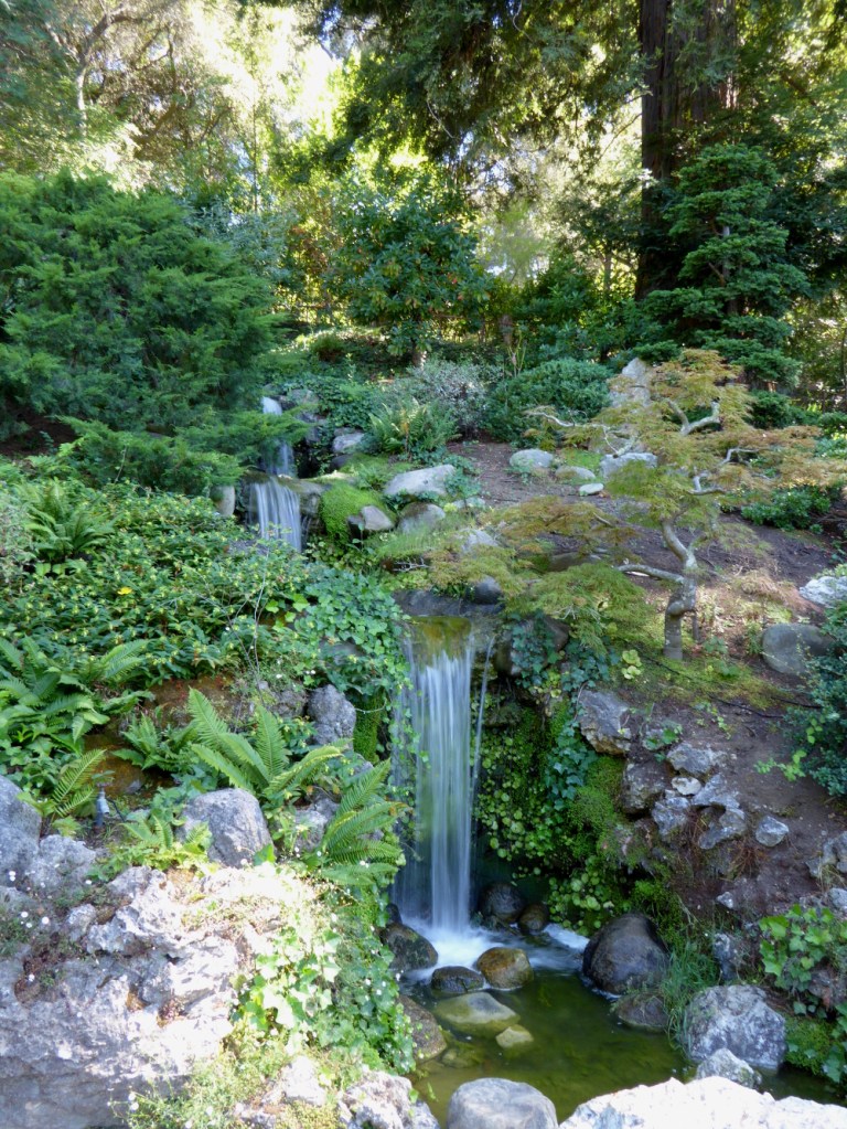 hakone-gardens-saratoga-waterfall