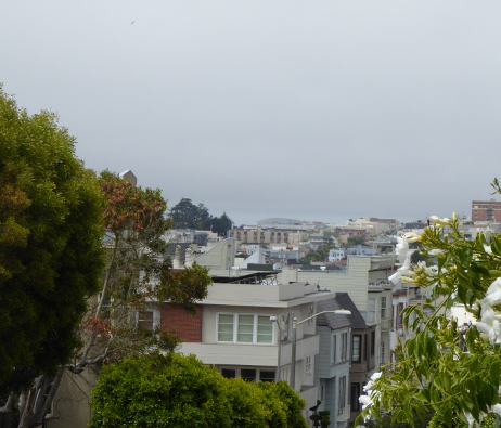 San-Francisco-Pacific-Heights