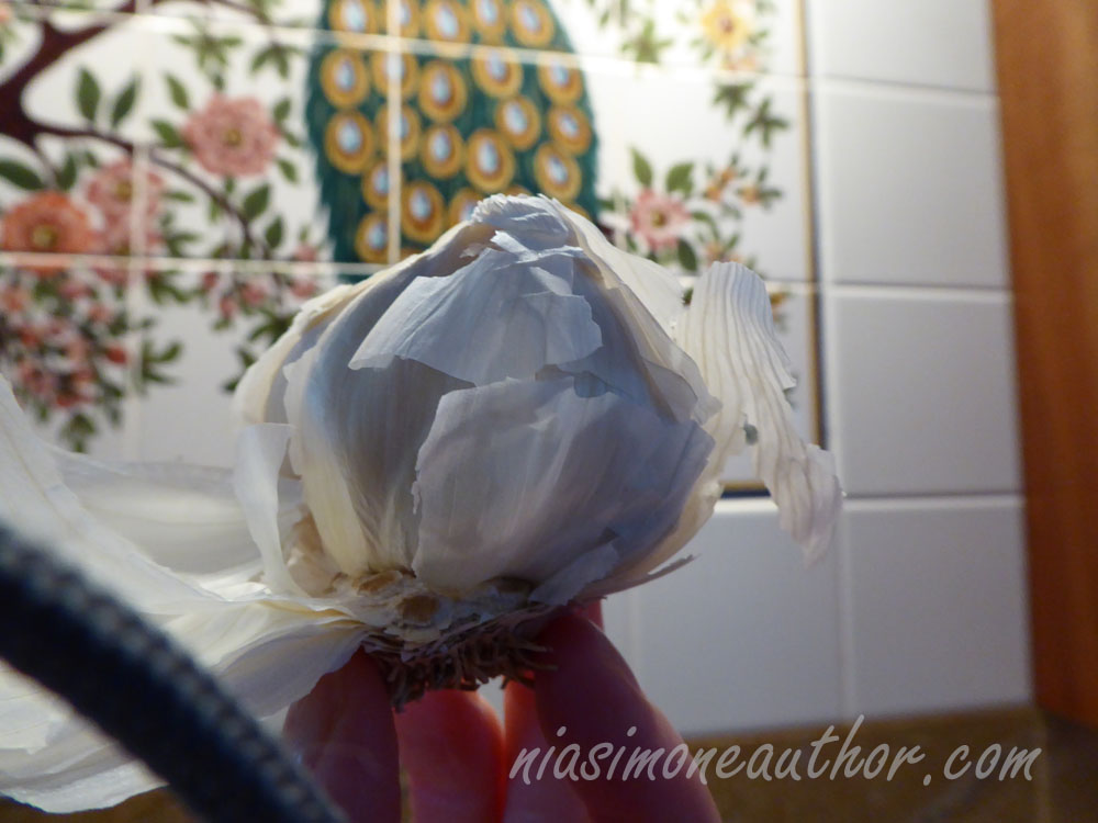 The stinking rose, but of course