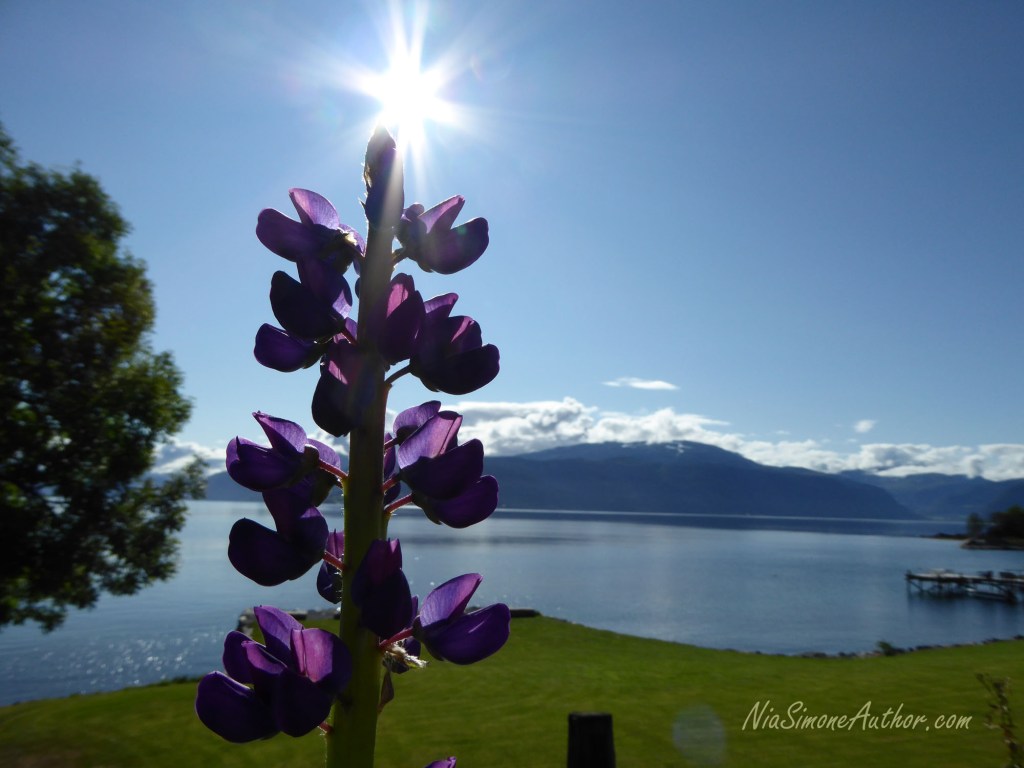 Balestrand-Fjordland-Norway-16