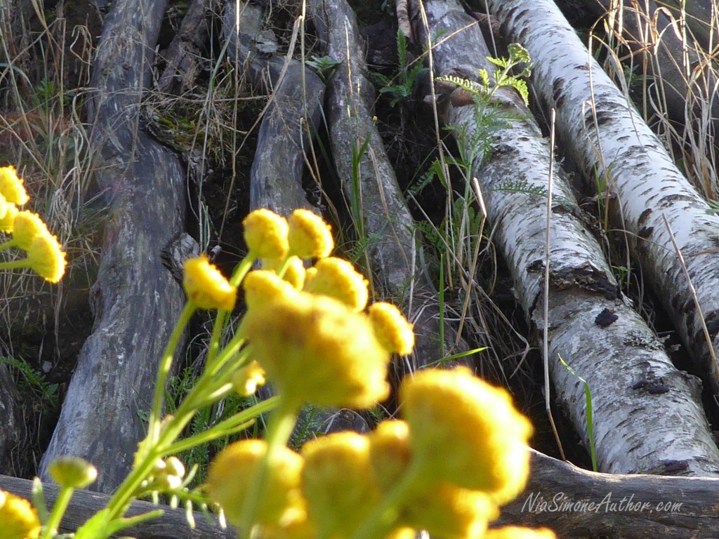 Folk-museum-Stockholm-11