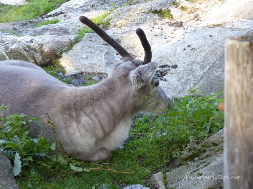 Folk-museum-Stockholm-13