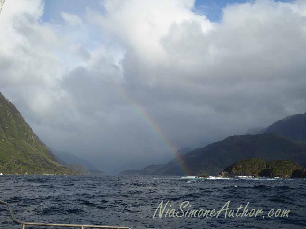 Heading back to the sound (fiord) after a brief sail out the Tasman Sea