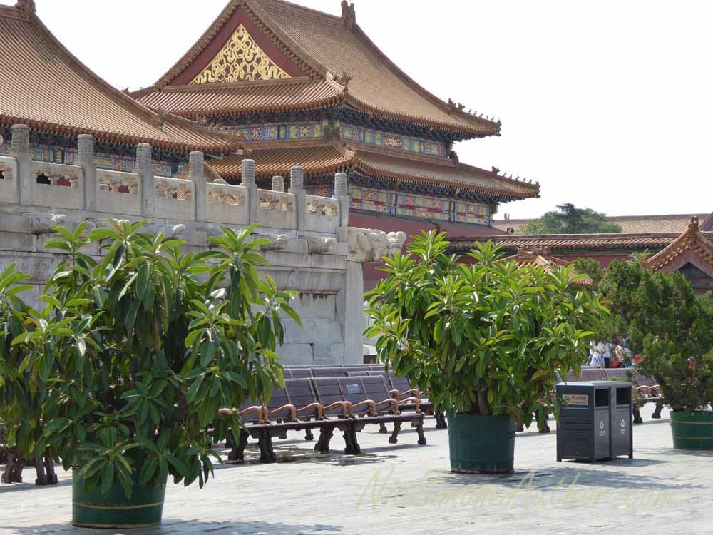 Forbidden-City-China-20