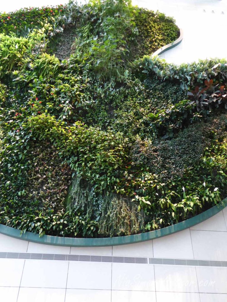 hong-kong-kowloon-14