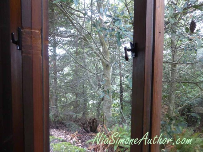 What was outside our window on the side. (Brewery Gulch Inn, King room.)