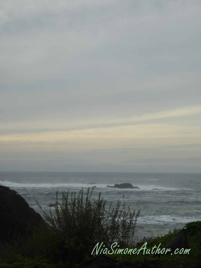 Another view from Wild Fish