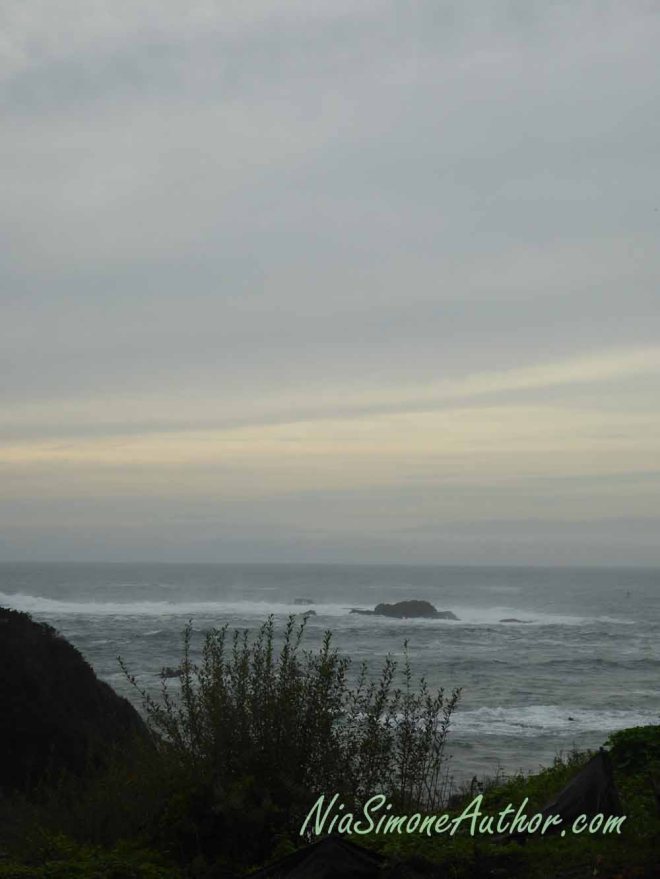 Another view from Wild Fish