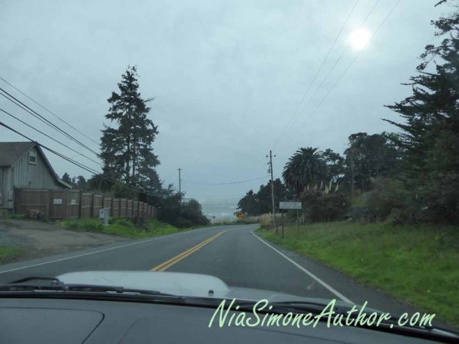 What you see when you're driving down the road.