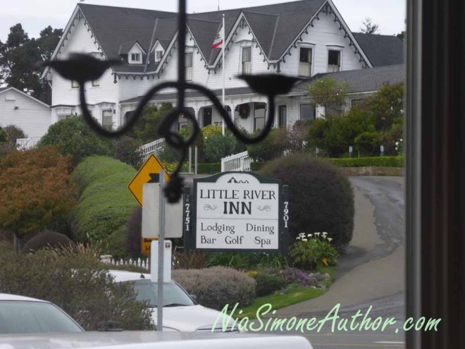 A view from Wild Fish