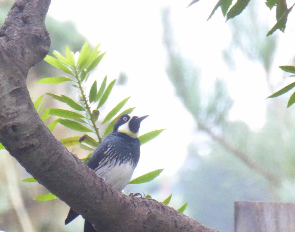 I think I'm pretty handsome from this angle too