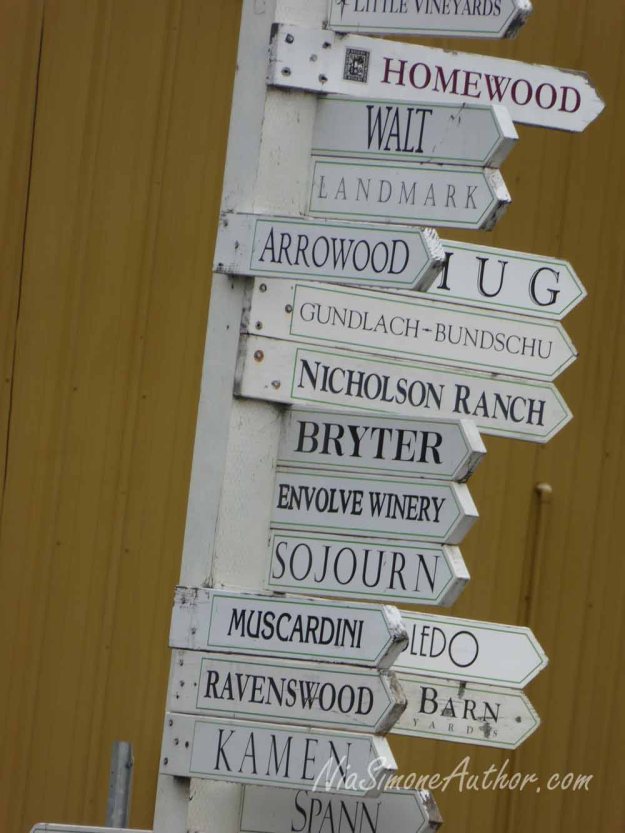 Sonoma-wine-tasting-1