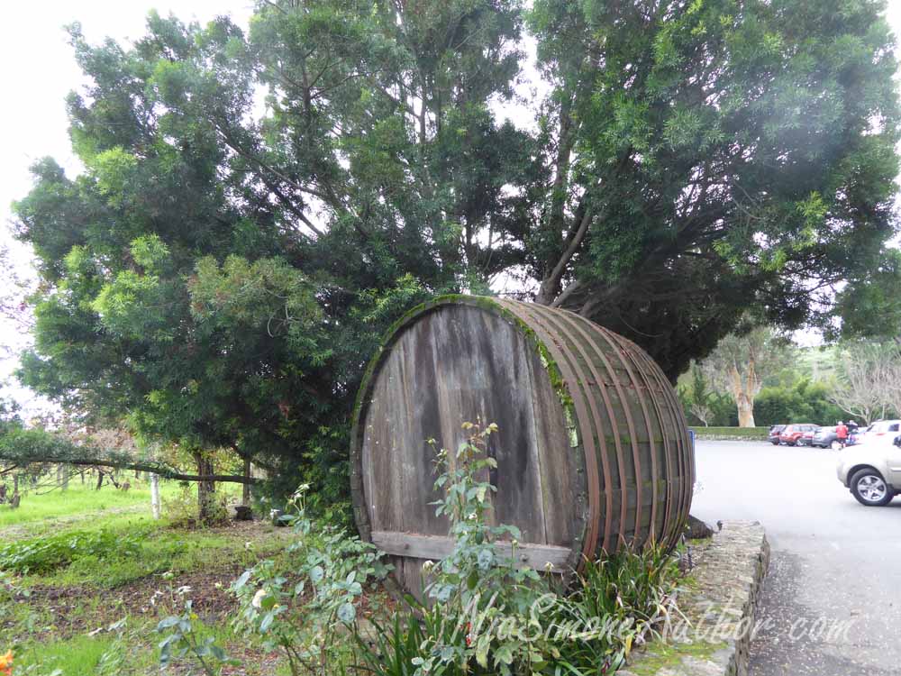 Sonoma-wine-tasting-6