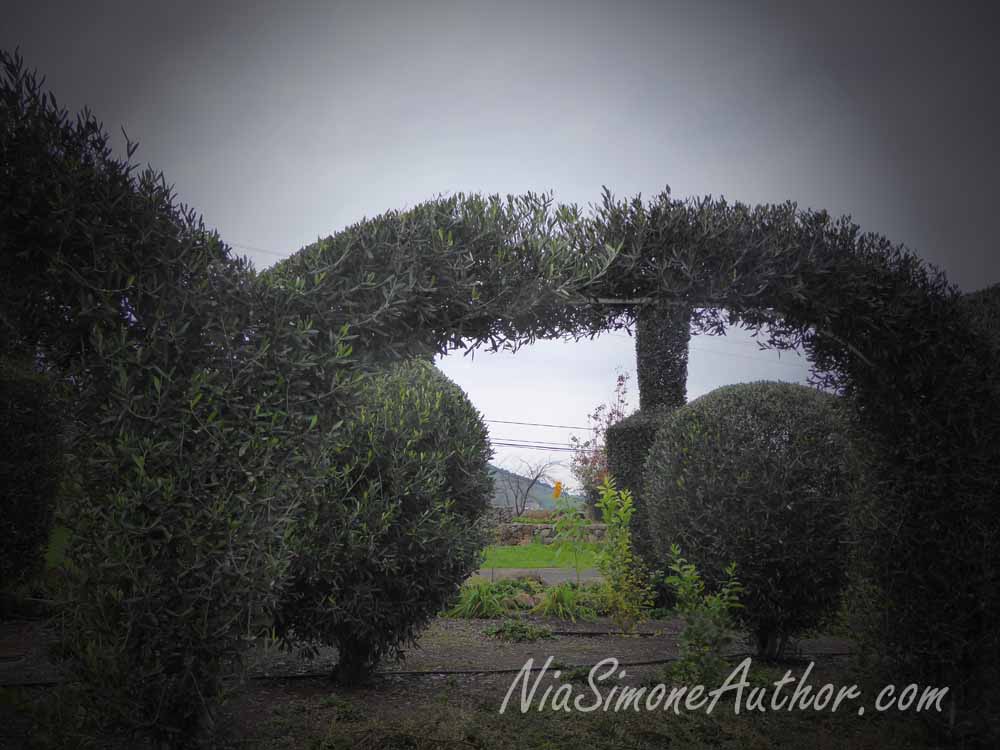 Sonoma-wine-tasting-8