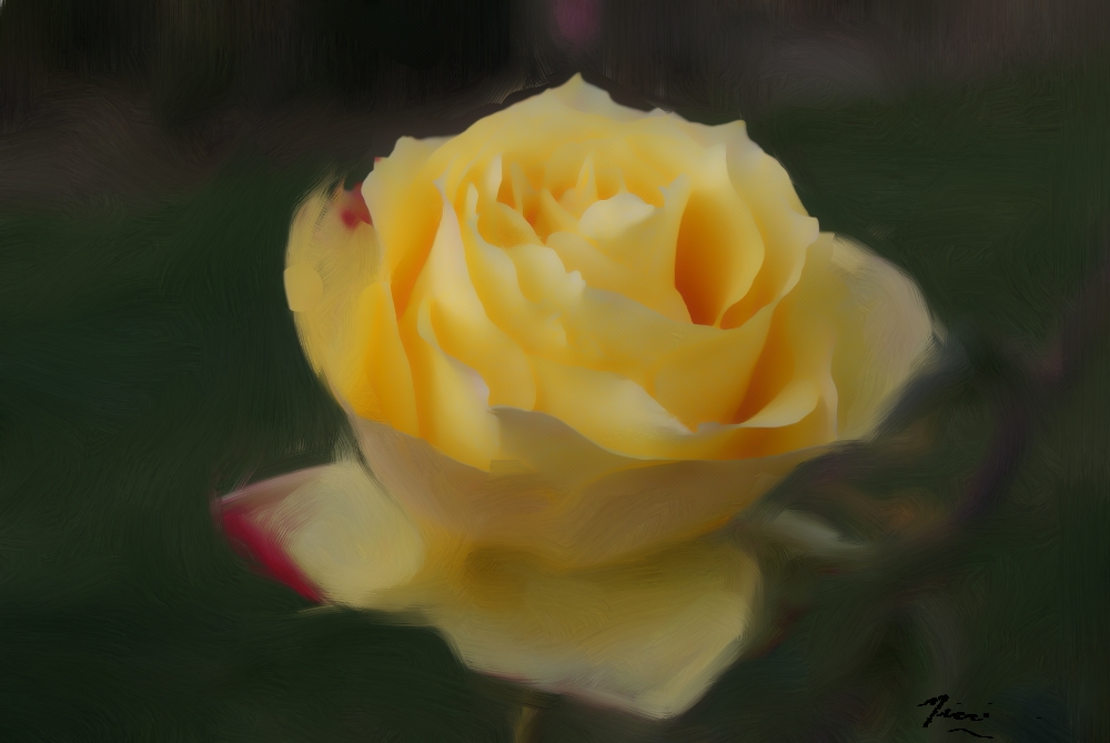 Yellow-rose_Painting
