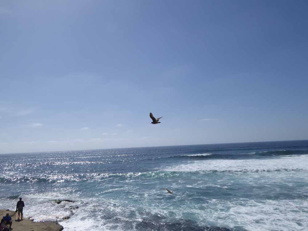 La-Jolla-3