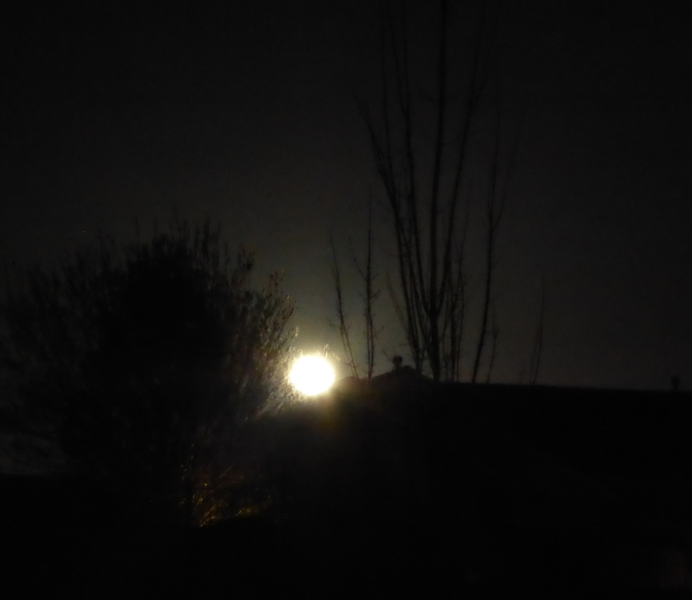 Moonrise in March