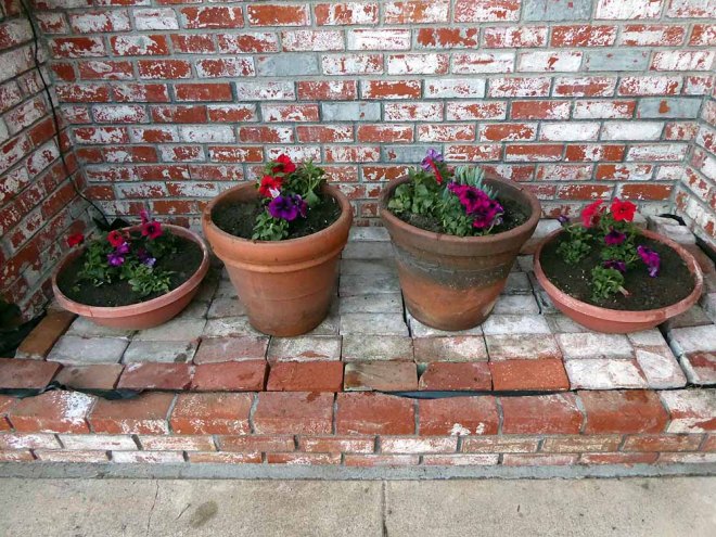 Flower-pots-1